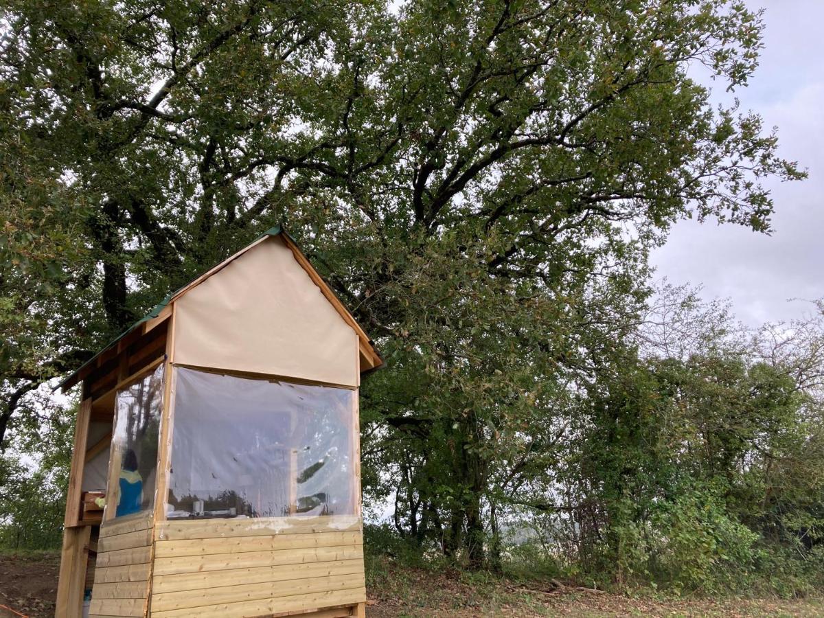 Cabane Bivouac Avec Echelle A L'Ombre Des Chenes Idrac-Respailles Ngoại thất bức ảnh